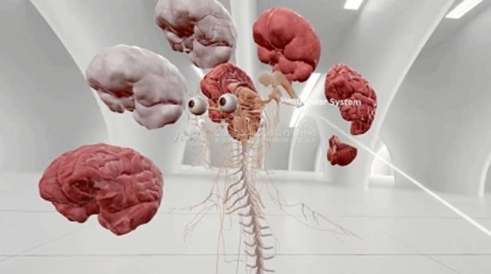 虚拟现实|虚拟仿真|三维虚拟技术|可视化工程|虚拟仿真交互|航空航天|汽车仿真|轮船仿真|列车仿真|多媒体应用|轨道交通|船舶制造|能源矿业|电力仿真|游戏开发|虚拟漫游|建筑设计|石油钻井|核能开放|互动营销|展览展示|爱迪斯通