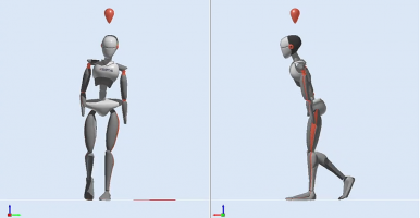 博洛尼亚大学应用全新xsens mvn reports进行高级步态分析